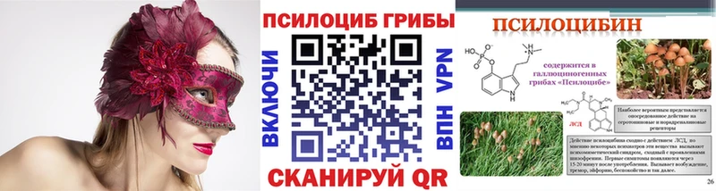 omg ТОР  Любань  Псилоцибиновые грибы ЛСД 